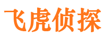 讷河婚外情调查取证